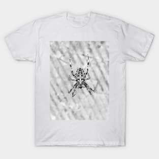 Spider T-Shirt